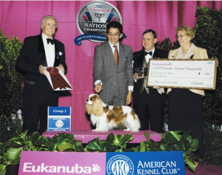 CKCSC-USA/AKC  Ch. Pinecrest Orchardhill Rock The Boat
