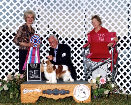 CKCSC-USA/AKC  Ch. Pinecrest Orchardhill Rock The Boat