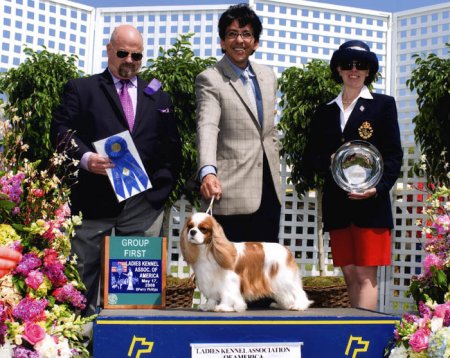 CKCSC-USA/AKC  Ch. Pinecrest Orchardhill Rock The Boat