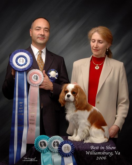CKCSC-USA/AKC  Ch. Pinecrest Orchardhill Rock The Boat