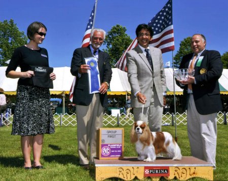 CKCSC-USA/AKC  Ch. Pinecrest Orchardhill Rock The Boat