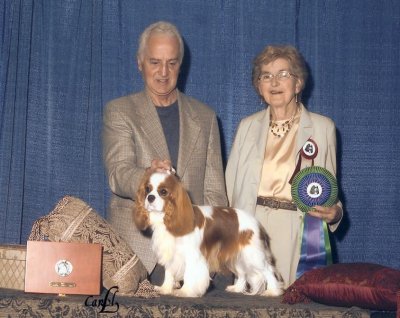 CKCSC-USA/AKC  Ch. Pinecrest Orchardhill Rock The Boat
