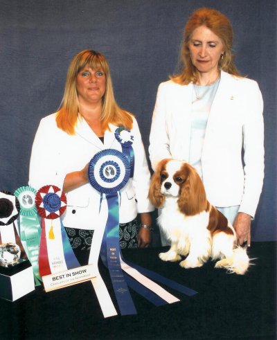 CKCSC-USA/AKC  Ch. Pinecrest Orchardhill Rock The Boat