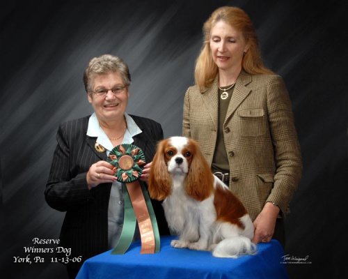 CKCSC-USA/AKC  Ch. Pinecrest Orchardhill Rock The Boat
