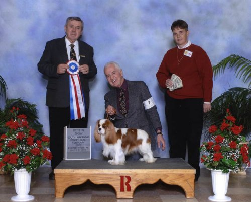 CKCSC-USA/AKC  Ch. Pinecrest Orchardhill Rock The Boat