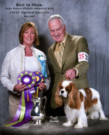 CKCSC-USA/AKC  Ch. Pinecrest Orchardhill Rock The Boat