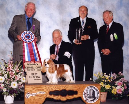CKCSC-USA/AKC  Ch. Pinecrest Orchardhill Rock The Boat