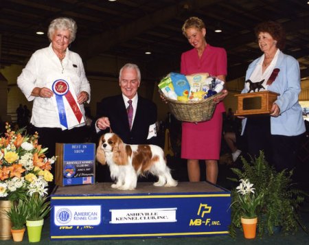 CKCSC-USA/AKC  Ch. Pinecrest Orchardhill Rock The Boat
