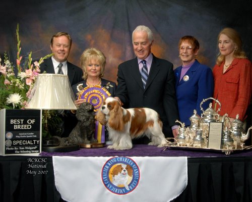 CKCSC-USA/AKC  Ch. Pinecrest Orchardhill Rock The Boat