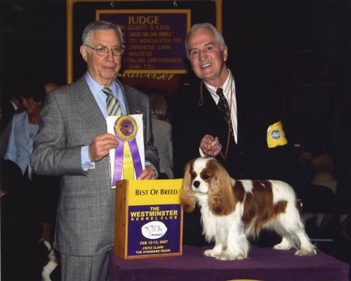 CKCSC-USA/AKC  Ch. Pinecrest Orchardhill Rock The Boat
