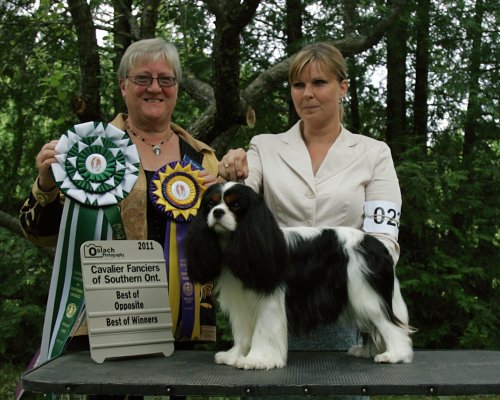 Orchardhill Charismatic