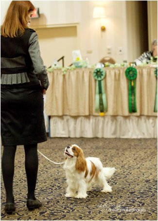 Orchard Hill Tough Enough