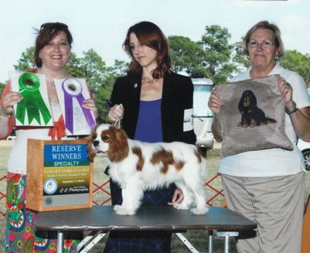 Orchard Hill Tough Enough