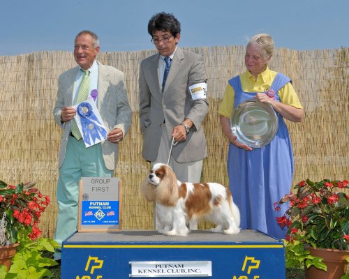 CKCSC-USA/AKC  Ch. Pinecrest Orchardhill Rock The Boat