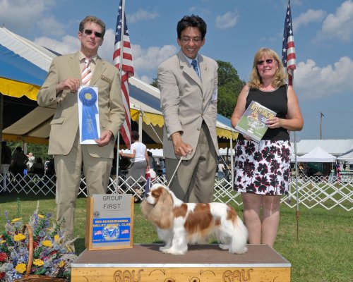 CKCSC-USA/AKC  Ch. Pinecrest Orchardhill Rock The Boat