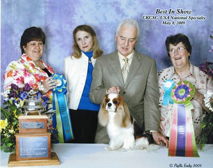 CKCSC-USA/AKC  Ch. Pinecrest Orchardhill Rock The Boat