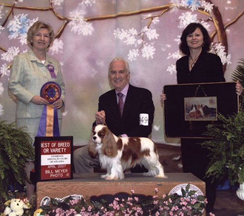CKCSC-USA/AKC  Ch. Pinecrest Orchardhill Rock The Boat