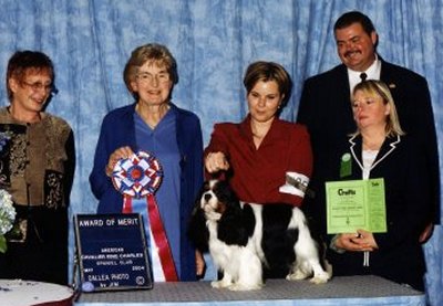 CKCSC-USA/AKC/Can Ch. Sheeba Special Inspiration at Orchard Hill     